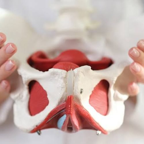 Pelvic Health